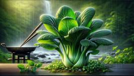 Bok Choy: The Calcium Rich Green for Healthy Saut&#233;ing