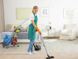 https://www.carpetcleanerswinnipeg.com/ website